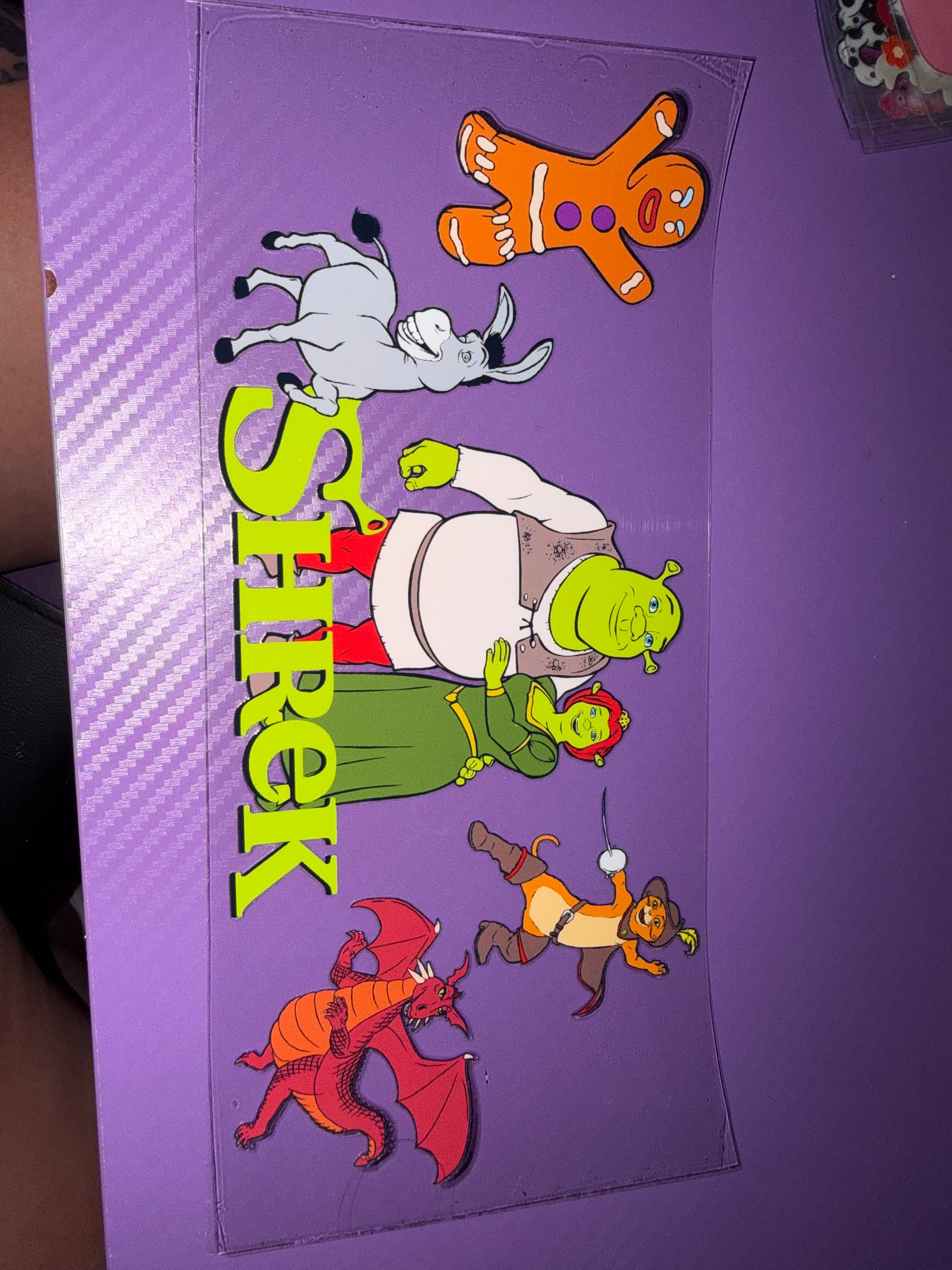 Disney Wraps